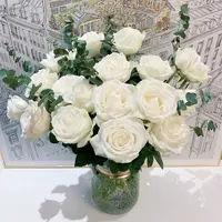 【云舍花卉】【坦尼克】单头玫瑰  全场任意满两单及以上包邮