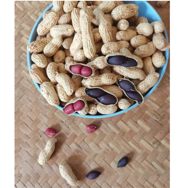 湖南宁远自种本地新鲜生花生