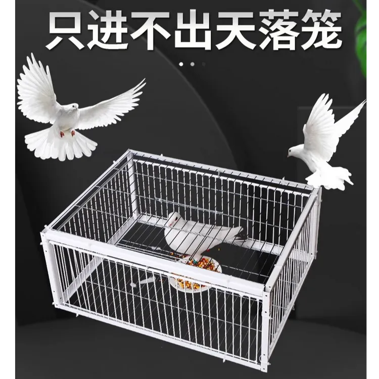 新款全自动鸽子笼只进不出撞门加密家用养殖场专用