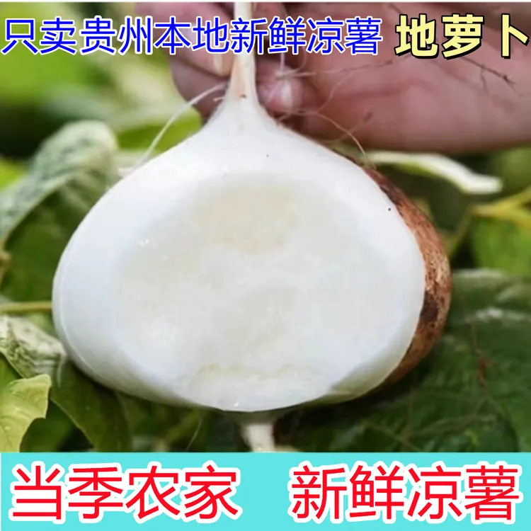 贵州地萝卜凉薯新鲜现挖水果蔬菜优质地瓜多汁脆甜包邮
