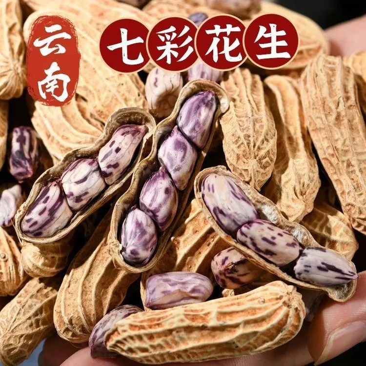 云南七彩带壳花生湿烤花生香酥干脆休闲好吃坚果零食tw