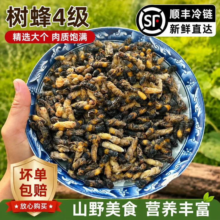 蜂蛹新鲜树蜂4级马蜂葫芦蜂油炸蜂蛹高蛋白当季批发商品图