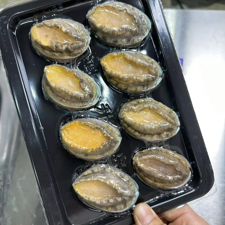 八头鲍鱼礼盒装拍一发2