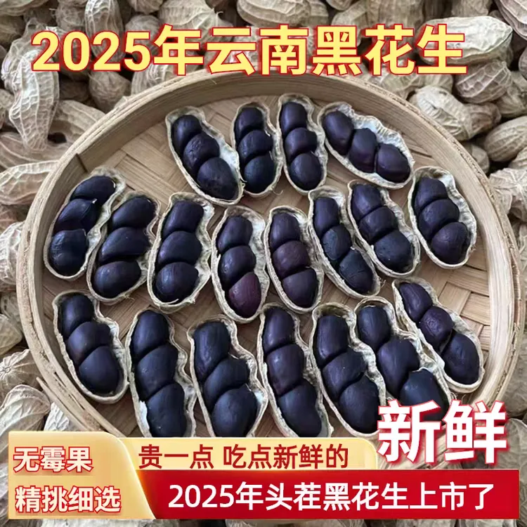 云南带壳老品种黑花生新鲜当季新货生吃甘甜滋补
