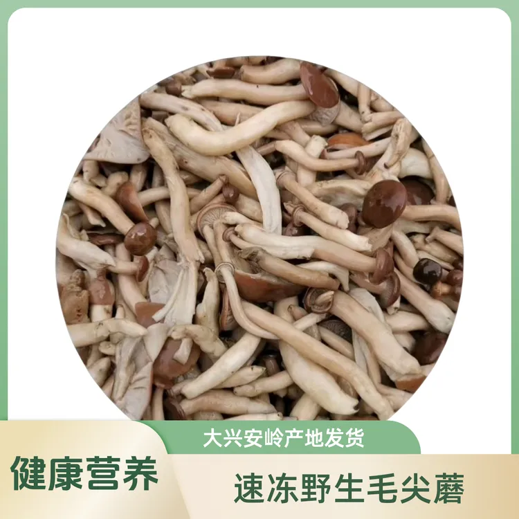 （顺丰包邮）大兴安岭野生毛尖蘑菇焯水冷冻炒食肉嫩味鲜500克/袋