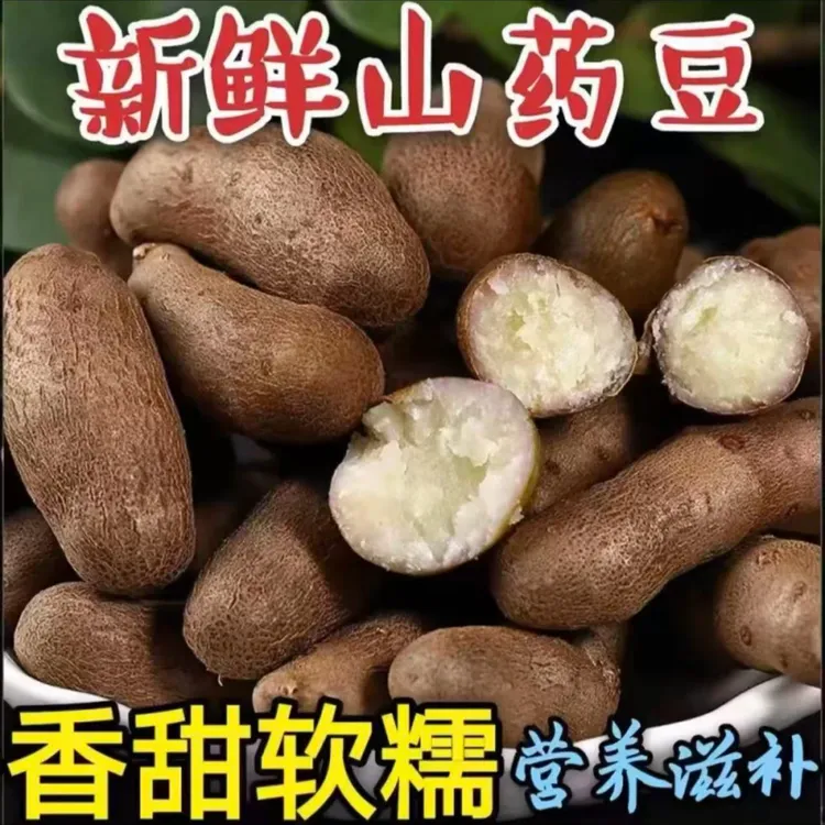 【山药豆特大号】新鲜正宗铁棍山药豆软糯香甜产地直发