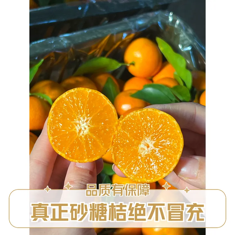 广西桂林产地正宗金秋沙糖桔新鲜采摘鲜甜砂糖橘产地直发果大包邮