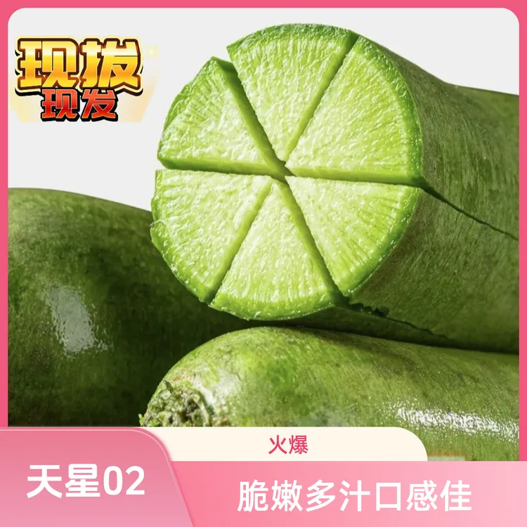 潍坊水果萝卜天星02号品质中果