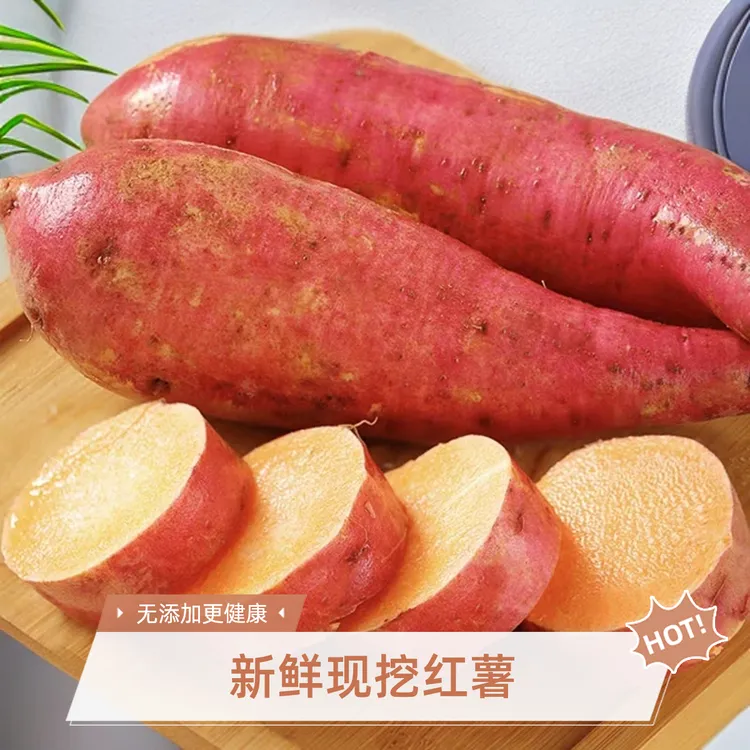 新鲜现挖沙地板栗红薯软糯甘甜无丝正宗蜜薯地瓜