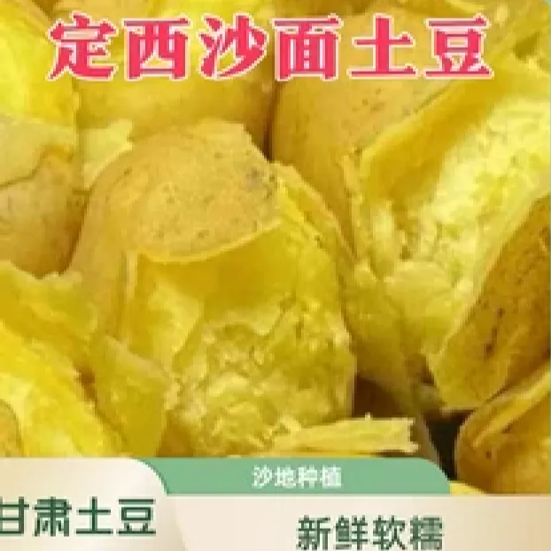 甘肃定西新鲜黄心土豆洋芋马铃薯高山旱沙地种植沙面软糯5斤净重