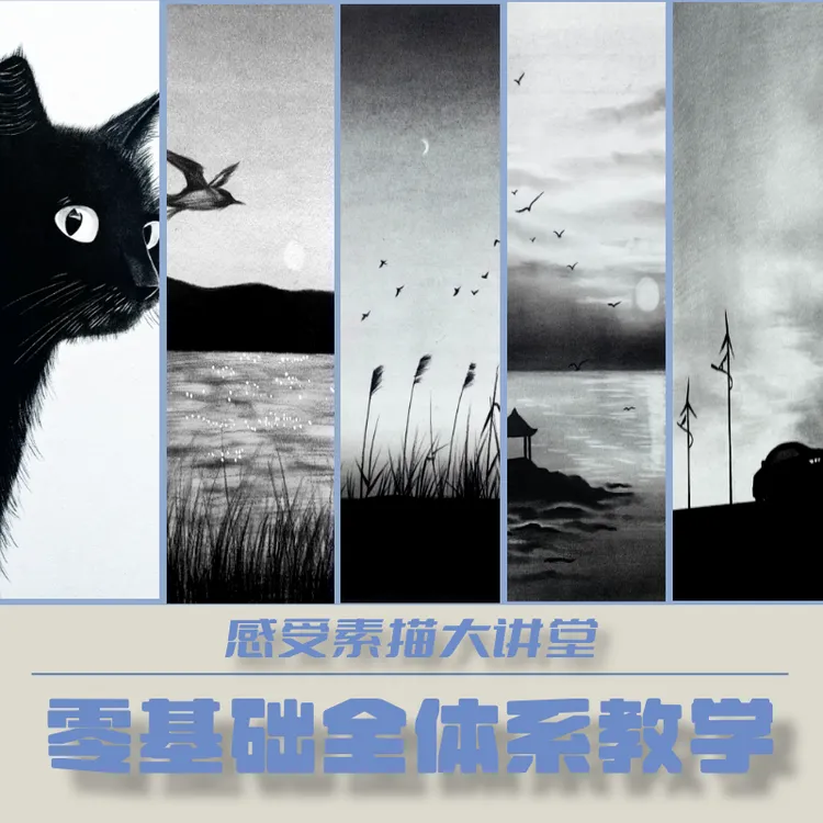 零基础全体系感受素描