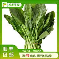 地产鲜菠菜200g±5g/份蔬菜菠菜