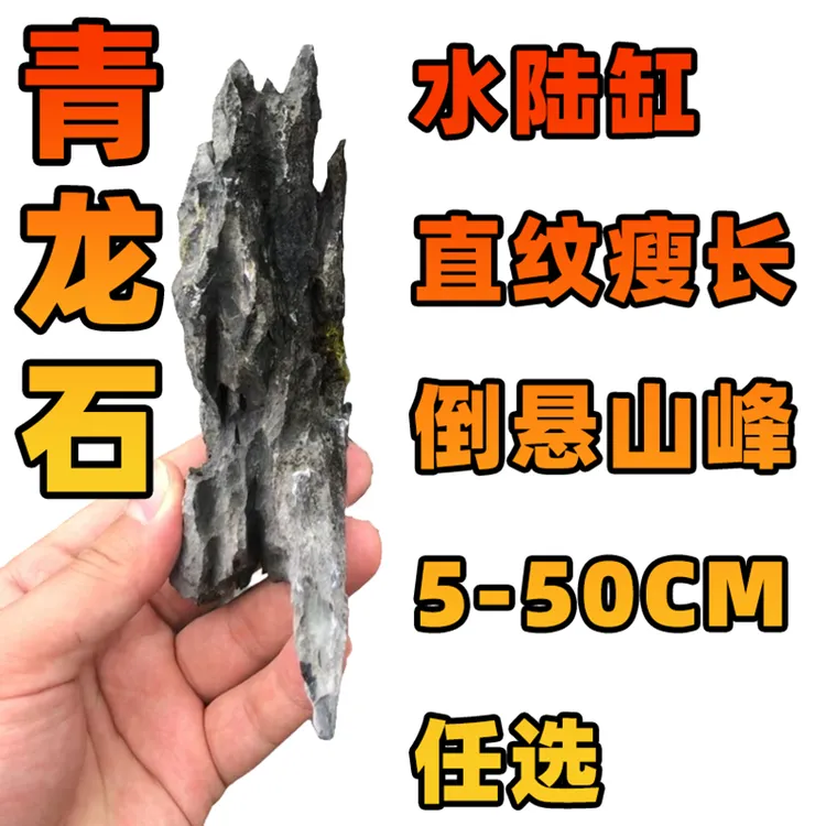 【青龙石】天然精品水陆缸英德石微景观鱼缸造景古法缸假山摆件水族