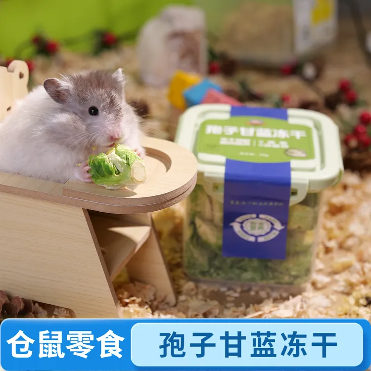 小宠仓鼠零食孢子甘蓝冻干即食金丝熊龙猫磨牙棒宠物兔子蔬菜龙猫