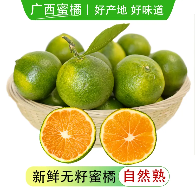 广西元气蜜橘精品青皮蜜橘无籽新鲜蜜桔酸甜多汁当天采摘产地直发