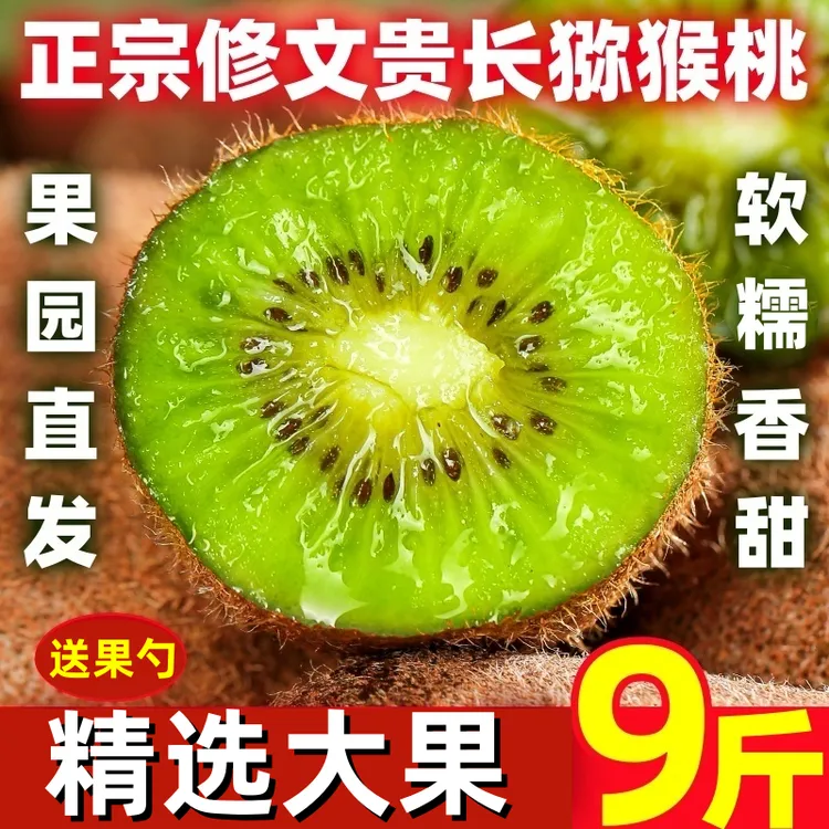 贵州贵阳修文贵长绿心野生猕猴桃新鲜应季水果香甜多汁奇异果