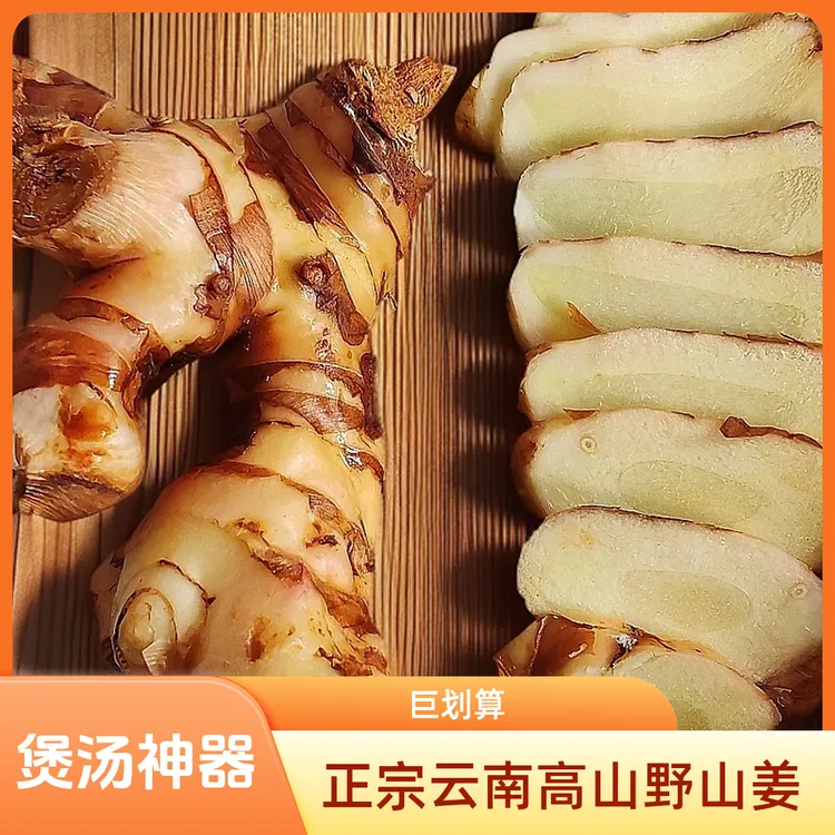 【煲汤神器】云南正宗高山野山姜可做种子