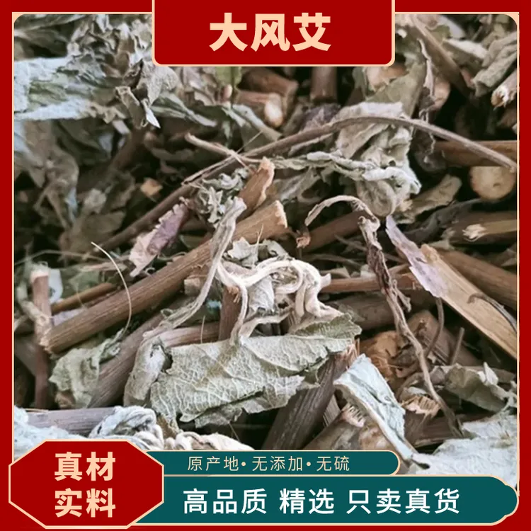 大风艾中药材艾纳香中草药材别名牛耳艾新鲜晒干大风叶大枫艾原料