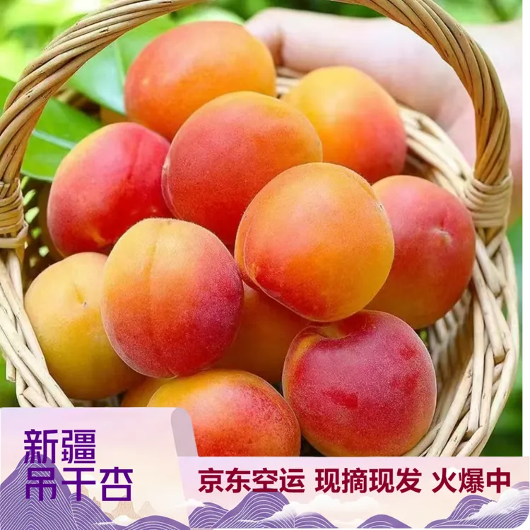 新疆吊干杏杏子京东空运到家新鲜现摘当季水果蜜甜可口