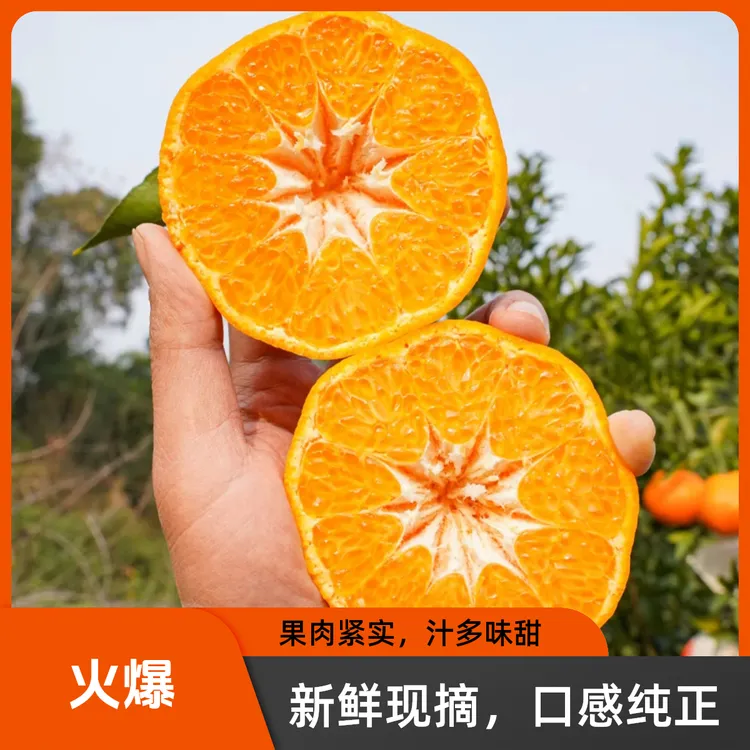 【果胖娃】四川丹棱耙耙柑新鲜爆口多汁细腻自然熟