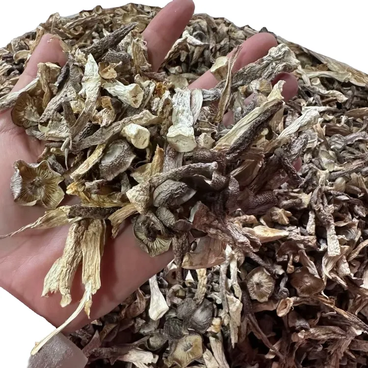 鹿茸菇碎脆脆菇虫草花煲肉炖汤家用菌菇特产包饺子