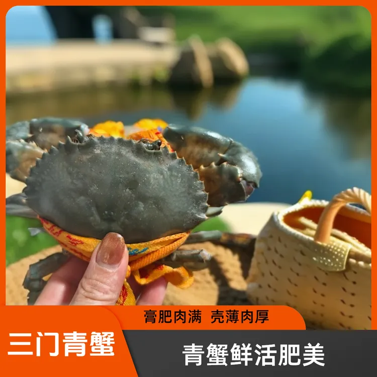 正宗三门青蟹小母蟹海鲜邮政鲜活水产小母蟹包肥包活