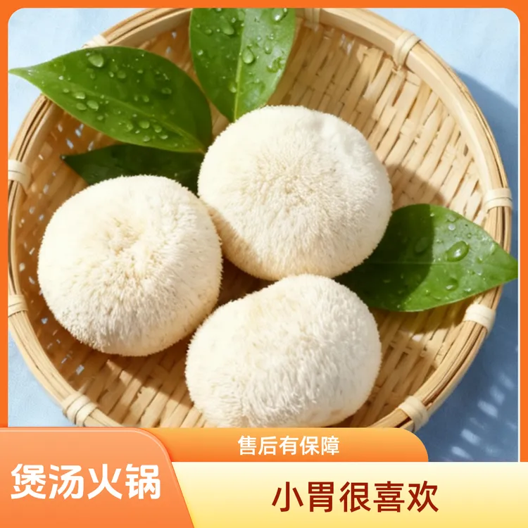 新鲜猴头菇现采现发顺丰包邮生态营养农产品食用新鲜菌菇火锅食材