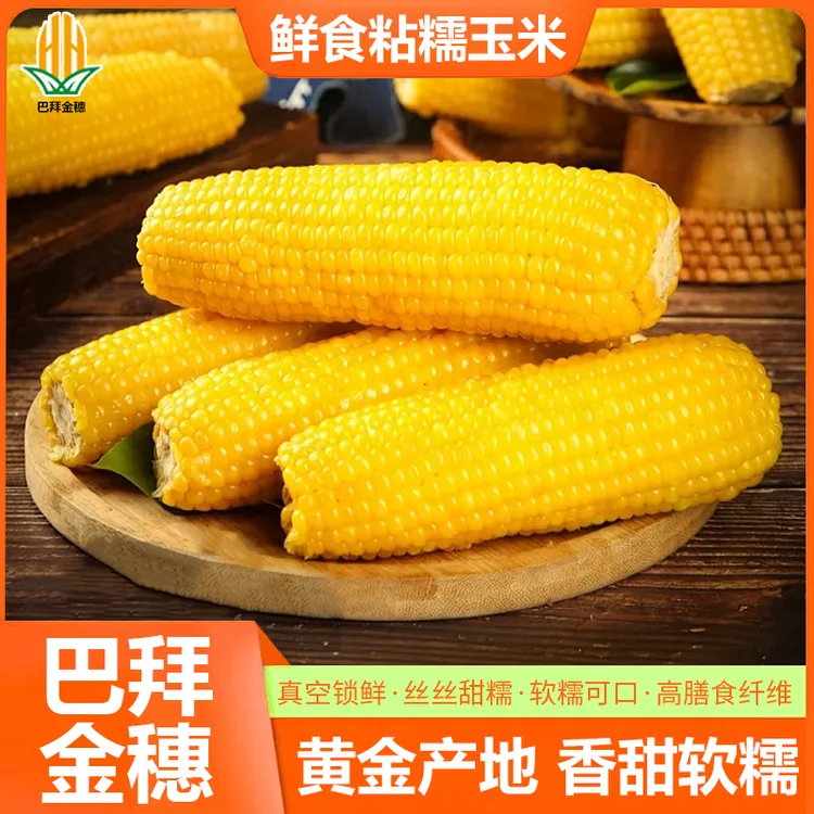 巴拜金穗2025年东北源头厂家直销黄糯玉米260g*8支，软糯香甜