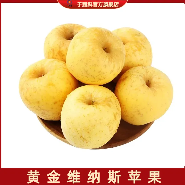 【于甄鲜选】山东黄金维纳斯苹果当季水果脆甜多汁4.5-5斤装