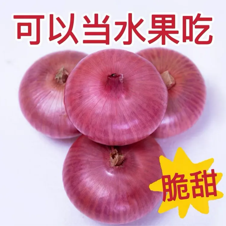 (精品扁平水果洋葱)新鲜现挖甜辣时令蔬菜农家自种5斤食用