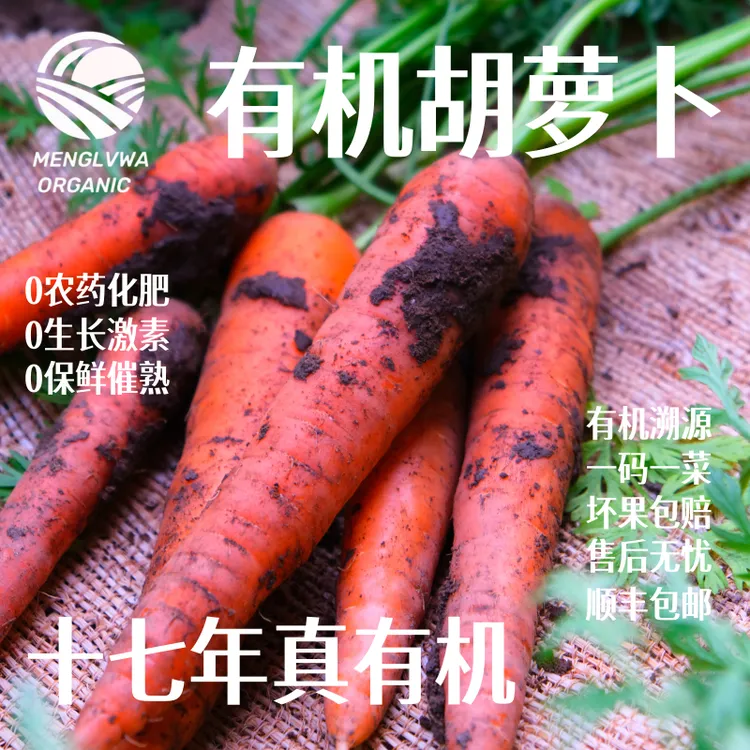 【有机认证】蒙绿娃高原种植有机胡萝卜 秋日鲜采 脆甜可口 