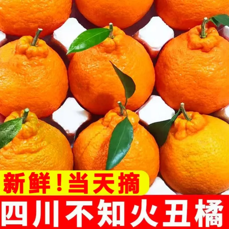 四川正宗不知火丑橘丑八怪新鲜水果当季果园直供箱非春见橘子