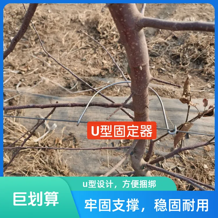 U型固定器果树拉枝神器弯枝开角器压枝定型工具改进型实用分枝器
