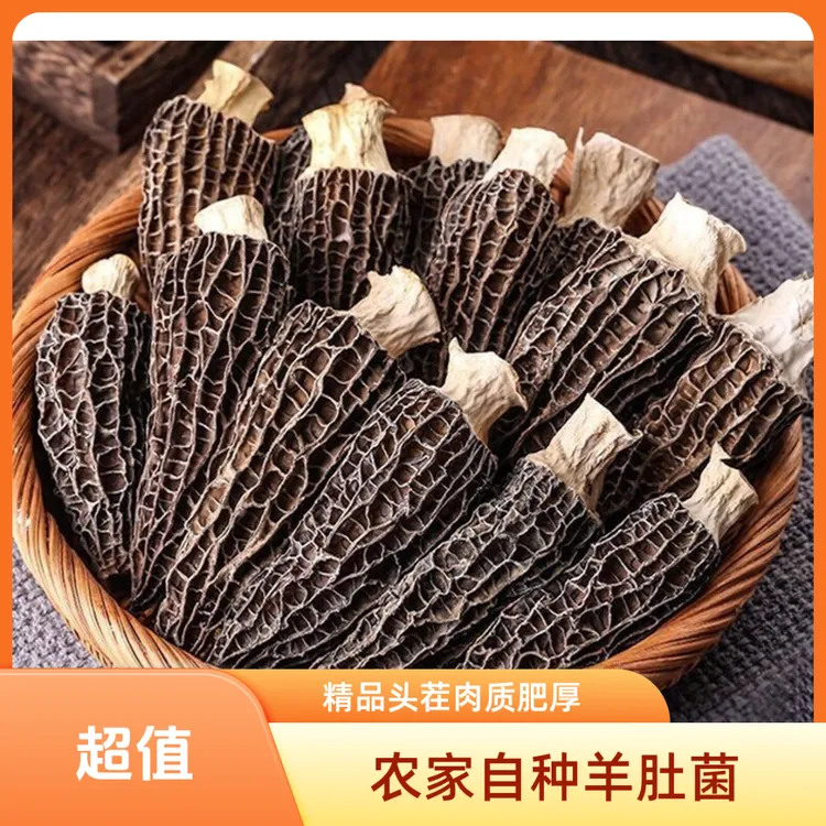 【基地直销】25年云南精品头茬羊肚菌肉质饱满营养丰富煲汤食用佳品