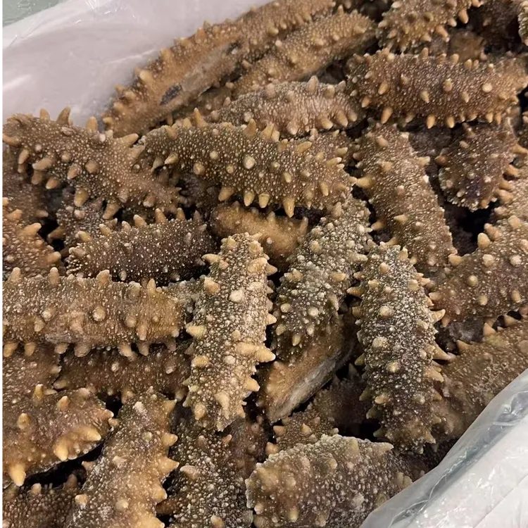 【听清再拍】特价海参福利听清再拍（不支持7天无理由）海参正宗辽参