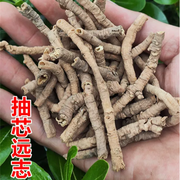 远志 手选抽芯远志净重量优质中药材