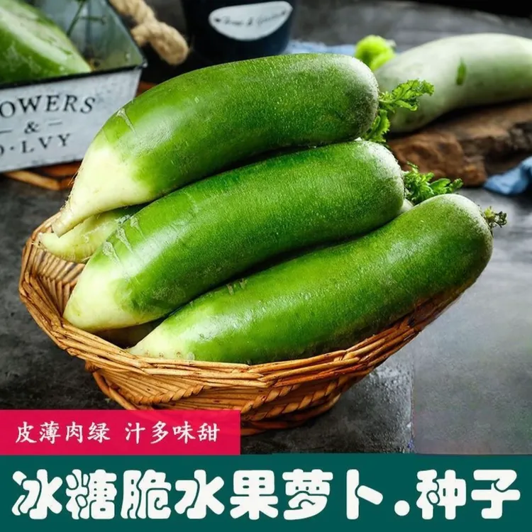 【冰糖脆水果萝卜种子】家庭阳台小院盆栽地栽四季种植