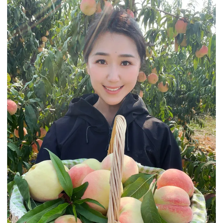 【脆甜多汁】正宗金秋红蜜桃 脆桃 新鲜采摘 产地直发重4.5斤