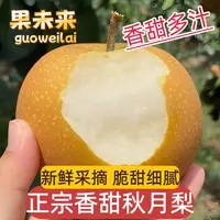 【果未来】山东秋月梨正宗头茬个大饱满细腻化渣脆甜多汁新鲜现摘
