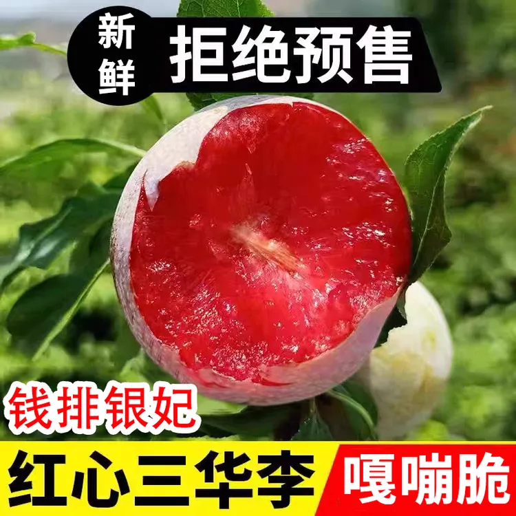  现货茂名钱排红心三华李新鲜水果孕妇当季水果酸甜脆爽口辣椒盐