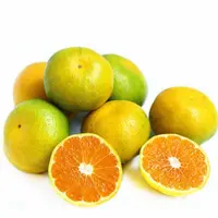 蜜桔约1000g±20g/份