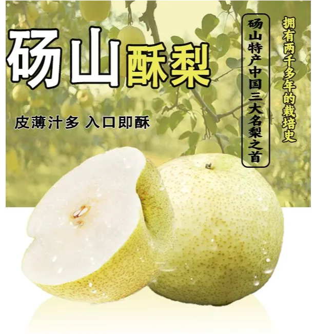 1正宗砀山百年老梨树砀山酥梨脆甜多汁净重4.5斤装现摘现发