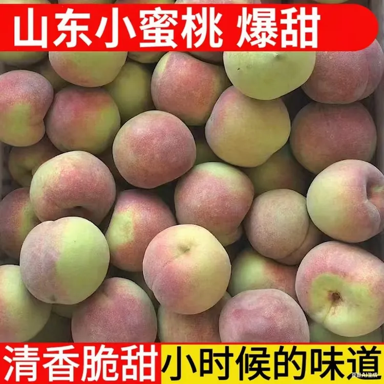 【发25个】山东小冬桃新鲜毛桃脆桃当季水果