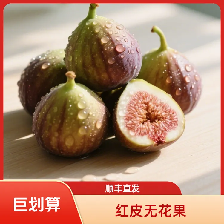 【老树无花果】红皮无花果新鲜采摘软糯清甜当季水果Y1
