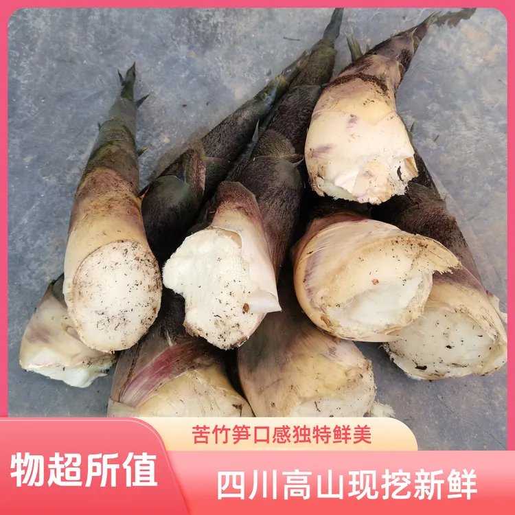 【顺丰包邮】四川深高山地道竹笋苦慈竹笋应季蔬菜新鲜现挖带壳炒肉