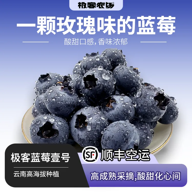极客蓝莓壹号酸甜味浓果肉紧实饱满新鲜采摘直发125g*4盒云南澄江