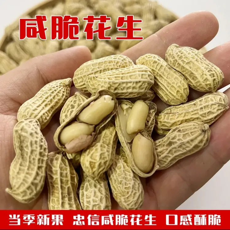 【25年忠信咸脆花生】香脆可口休闲下酒零食花生