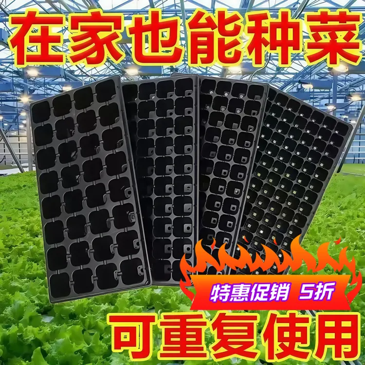 种植盘育苗超厚玉米高粱加厚草莓盘育苗盘穴盘育苗盆育秧盘辣椒苗