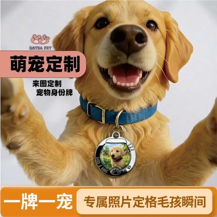 来图定制定制套装款防丢身份牌项圈扣子私发图片定制