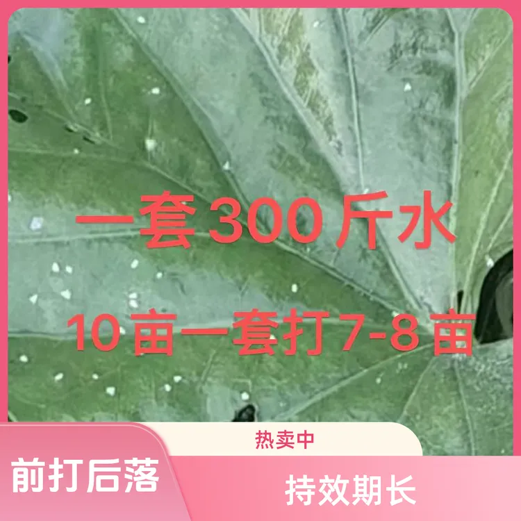 白飞虱专用 10亩1套 打7-8亩地